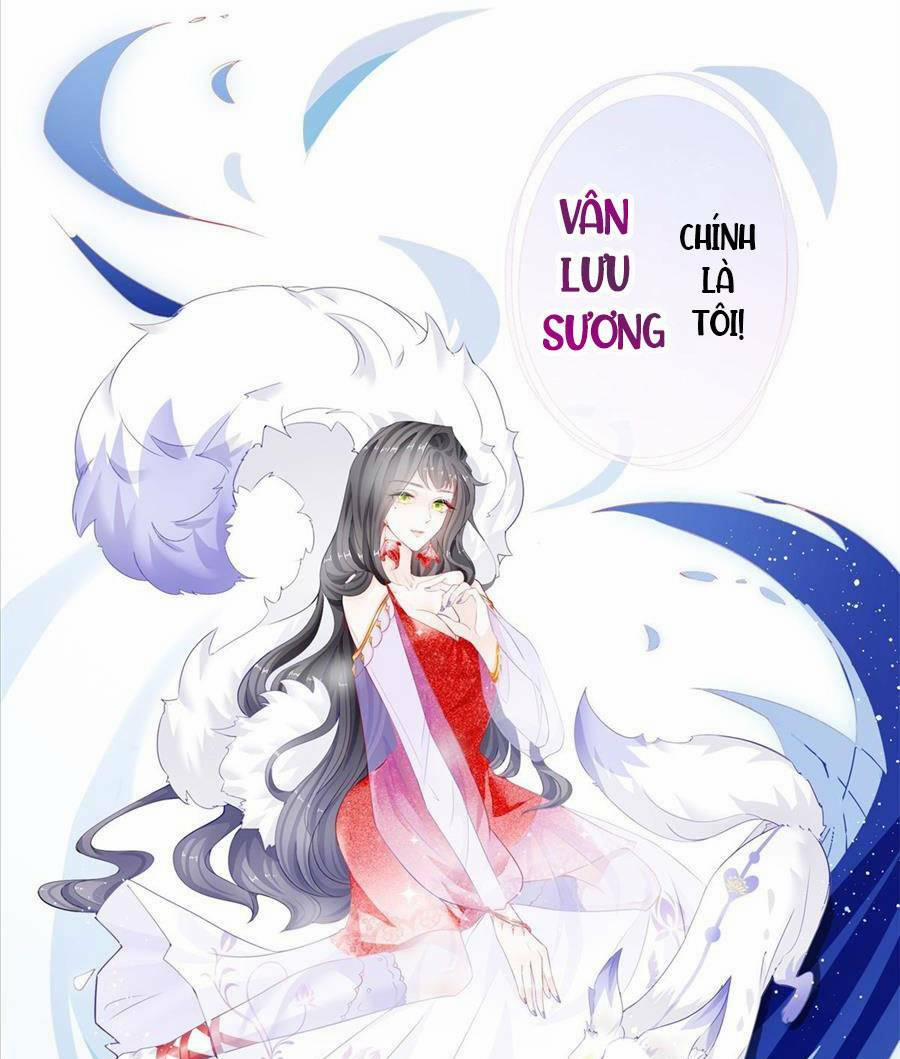Boss Sát Thủ Dưỡng Hồ Yêu 0 trang 7