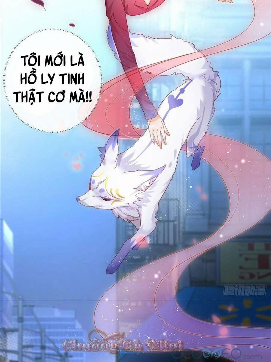 Boss Sát Thủ Dưỡng Hồ Yêu 1 trang 14