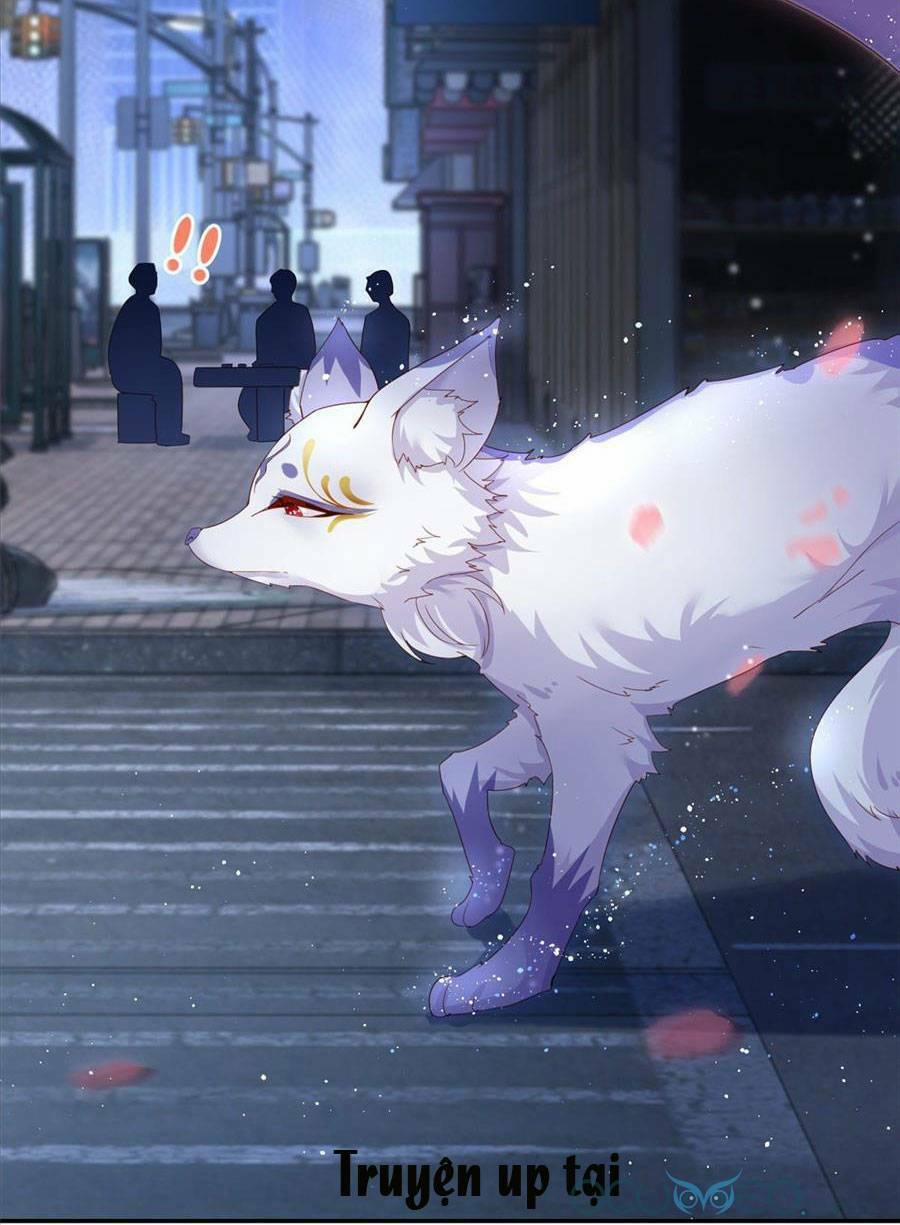 Boss Sát Thủ Dưỡng Hồ Yêu 1 trang 15