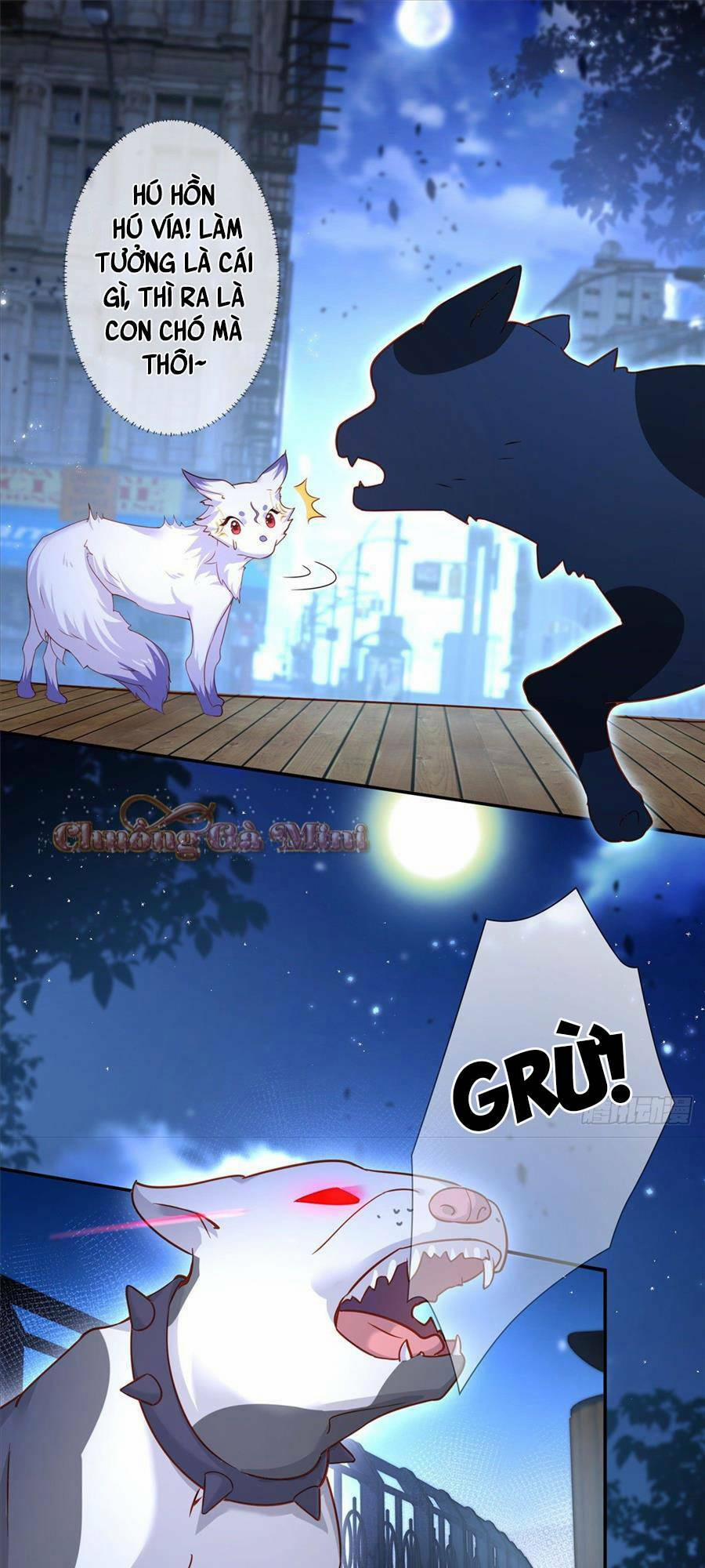 Boss Sát Thủ Dưỡng Hồ Yêu 1 trang 23