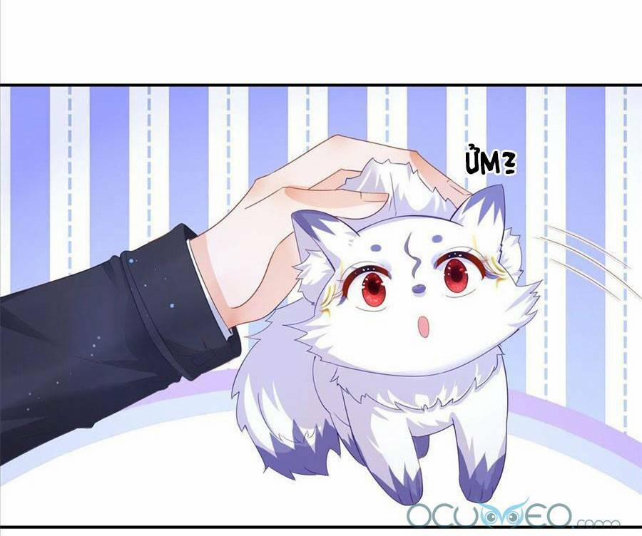 Boss Sát Thủ Dưỡng Hồ Yêu 1 trang 26