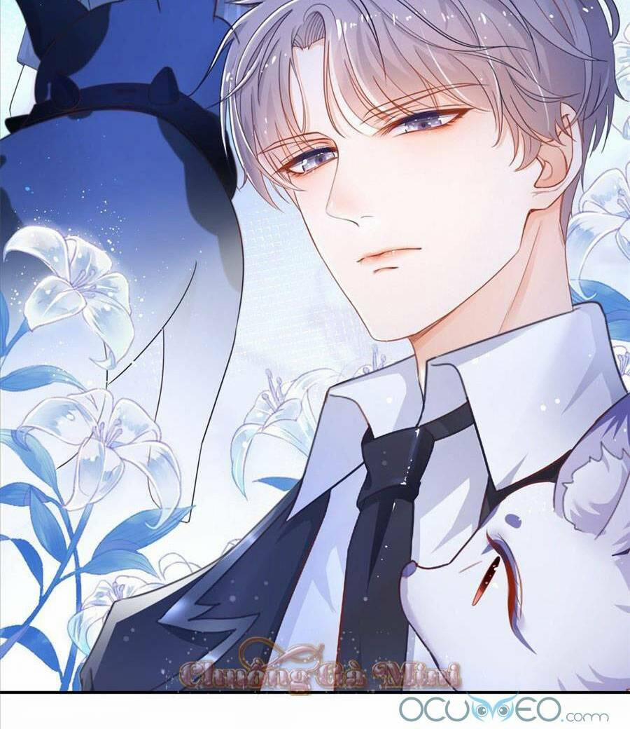 Boss Sát Thủ Dưỡng Hồ Yêu 1 trang 28