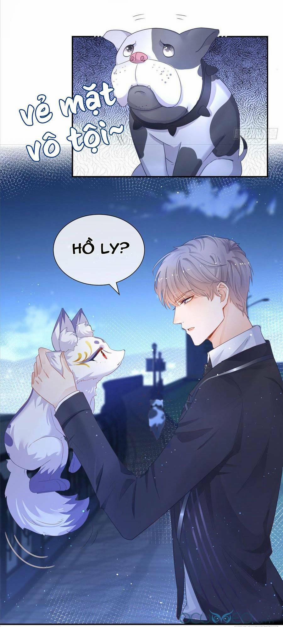Boss Sát Thủ Dưỡng Hồ Yêu 1 trang 29
