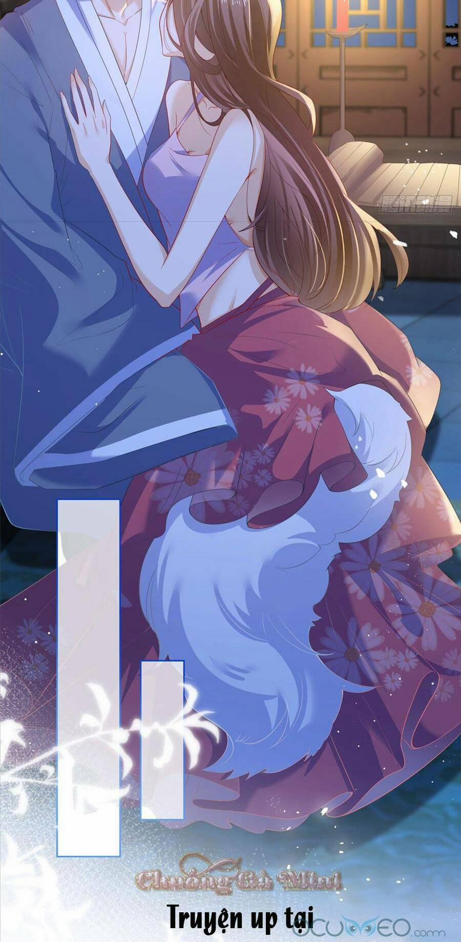 Boss Sát Thủ Dưỡng Hồ Yêu 1 trang 4