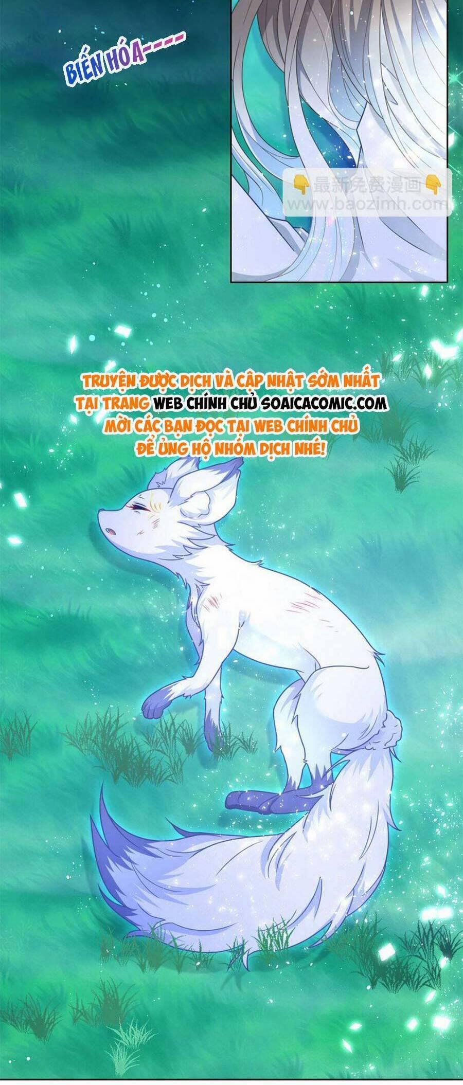 Boss Sát Thủ Dưỡng Hồ Yêu 112 trang 2