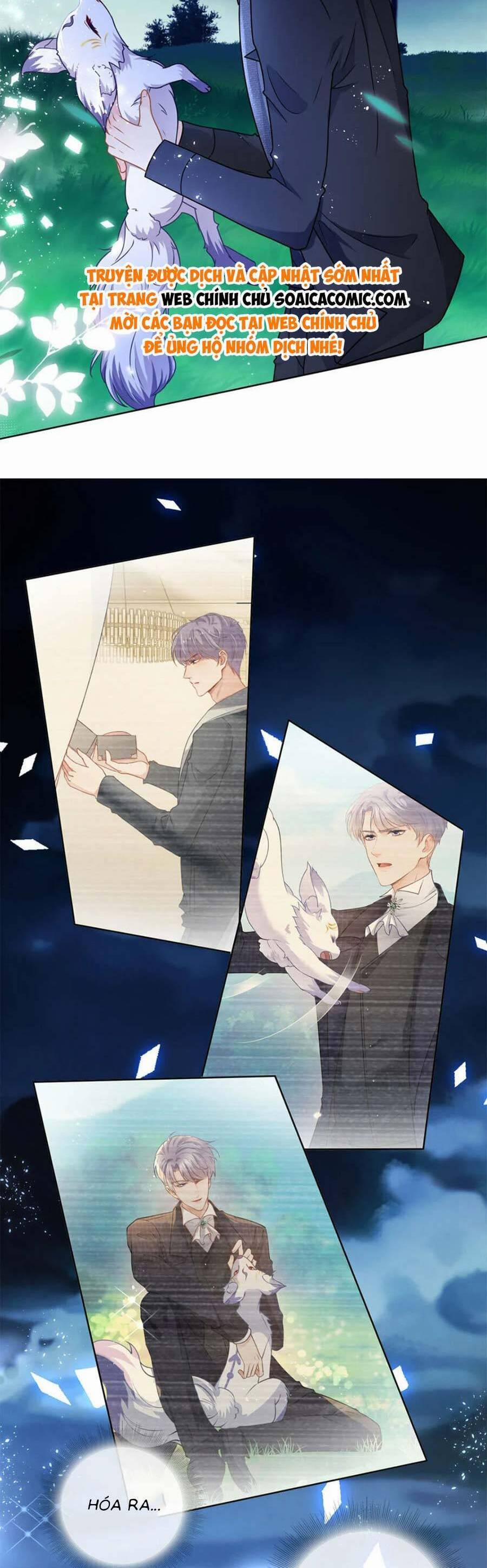 Boss Sát Thủ Dưỡng Hồ Yêu 112 trang 4