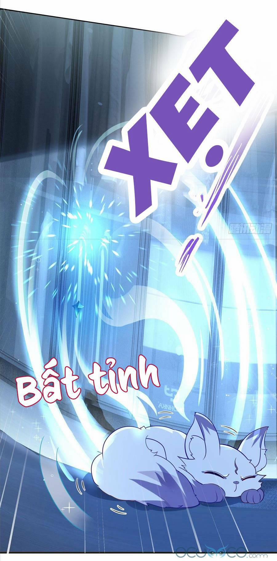 Boss Sát Thủ Dưỡng Hồ Yêu 2 trang 12