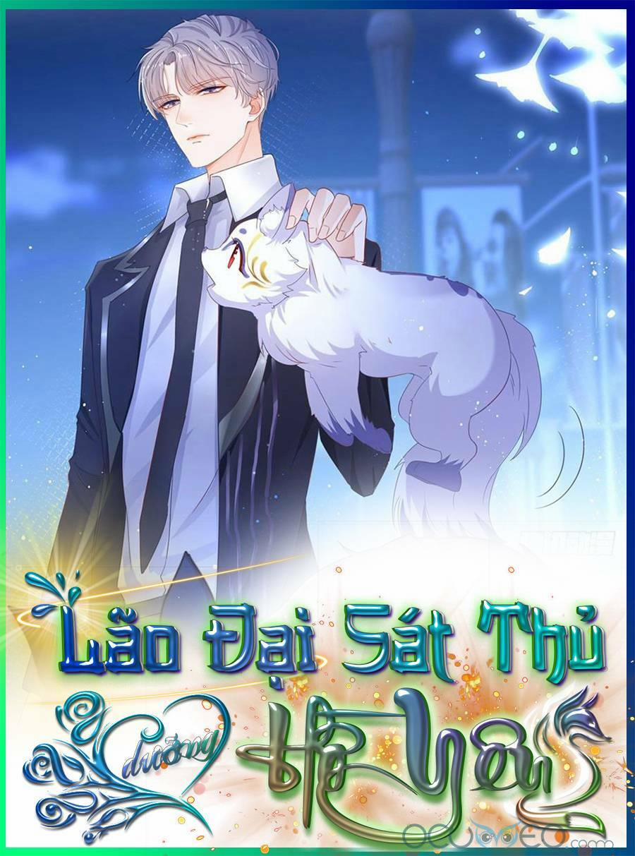 Boss Sát Thủ Dưỡng Hồ Yêu 2 trang 35