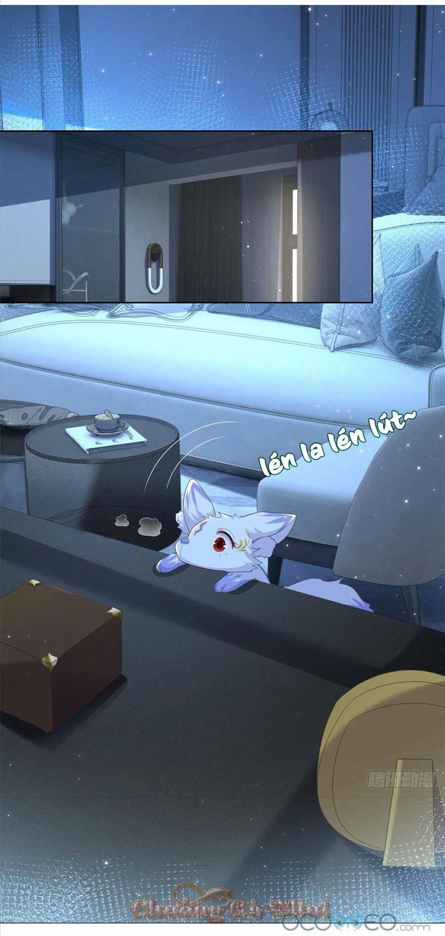 Boss Sát Thủ Dưỡng Hồ Yêu 2 trang 8