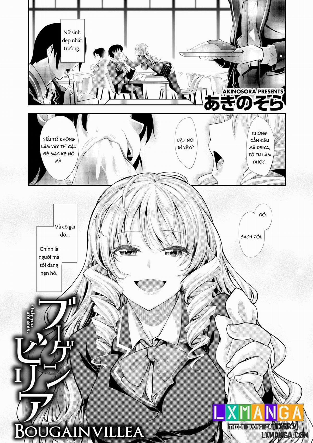 Bougainvillea 1 trang 0