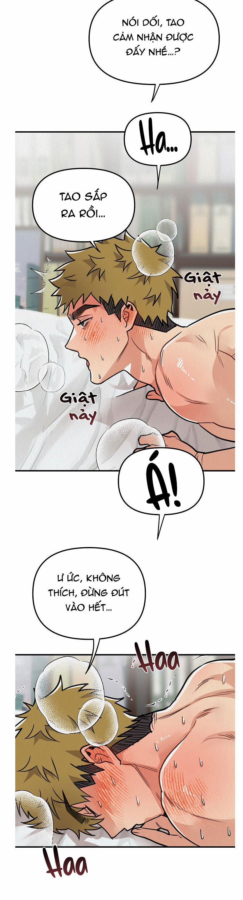 Boy Meets Girl 0 SS2 trang 3