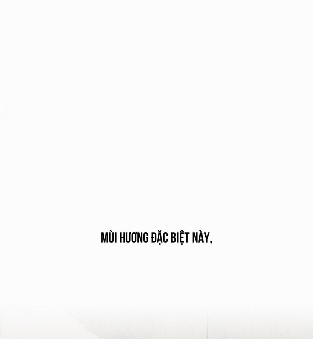 BROKEN LOVE 9 trang 49