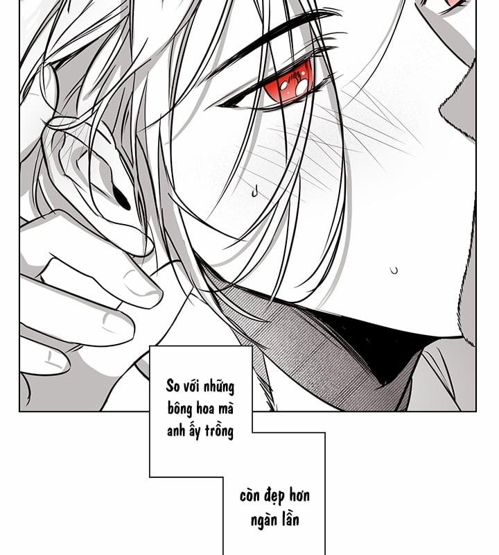 Bữa Tiệc Của Những Đóa Hoa 1 trang 19