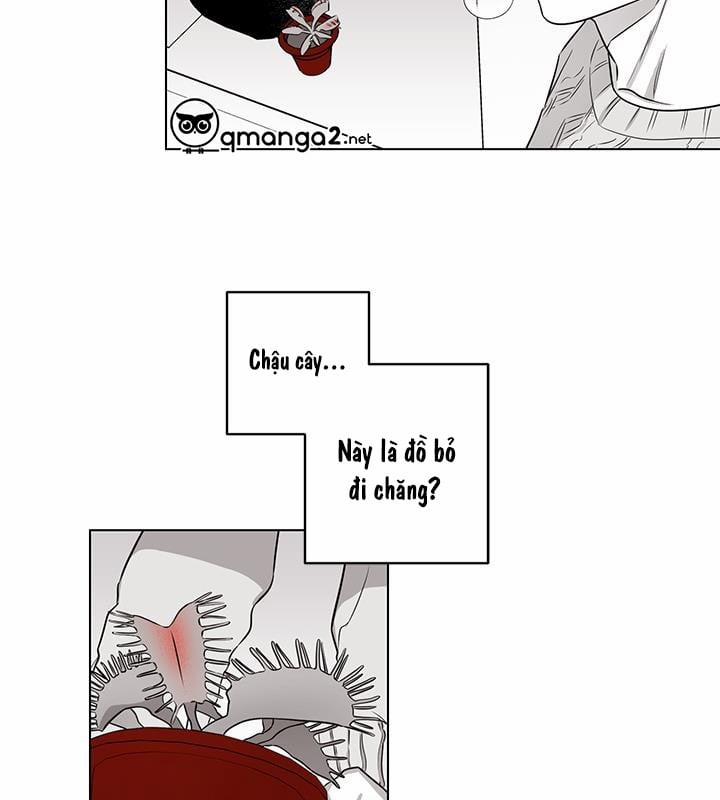 Bữa Tiệc Của Những Đóa Hoa 17 trang 23