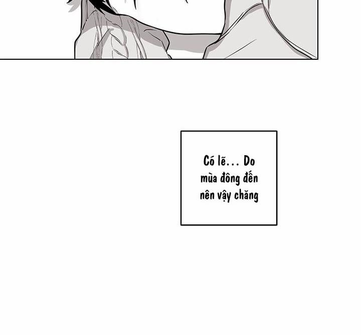 Bữa Tiệc Của Những Đóa Hoa 17 trang 43