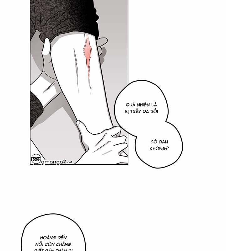 Bữa Tiệc Của Những Đóa Hoa 19 trang 87
