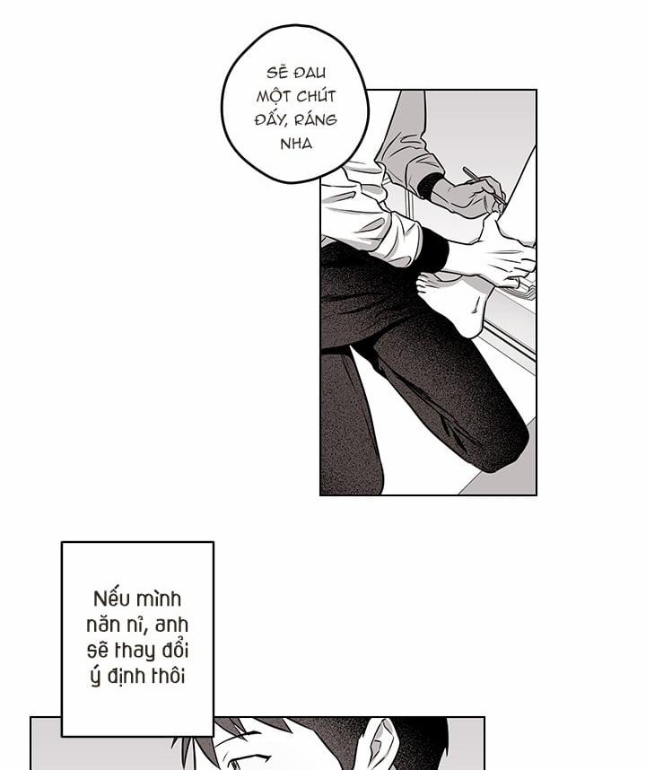 Bữa Tiệc Của Những Đóa Hoa 20 trang 11