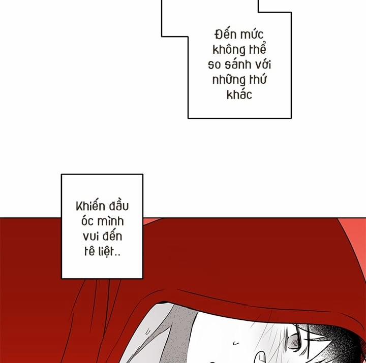 Bữa Tiệc Của Những Đóa Hoa 20 trang 19