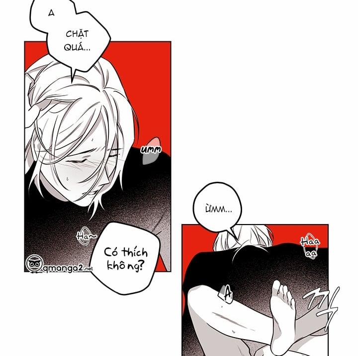 Bữa Tiệc Của Những Đóa Hoa 20 trang 40