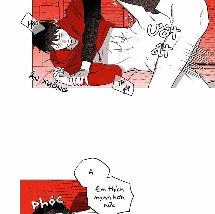 Bữa Tiệc Của Những Đóa Hoa 20 trang 47