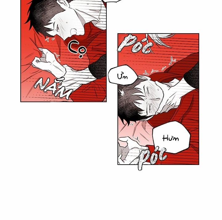 Bữa Tiệc Của Những Đóa Hoa 20 trang 48