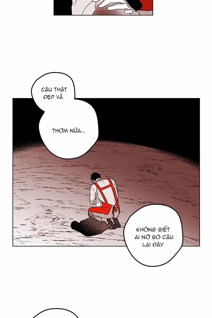 Bữa Tiệc Của Những Đóa Hoa 21 trang 74