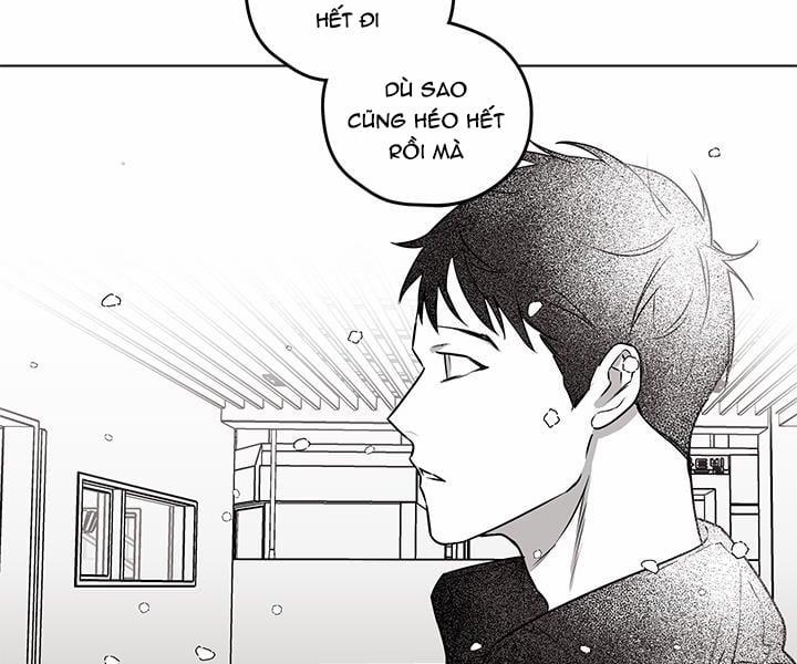 Bữa Tiệc Của Những Đóa Hoa 22 trang 112