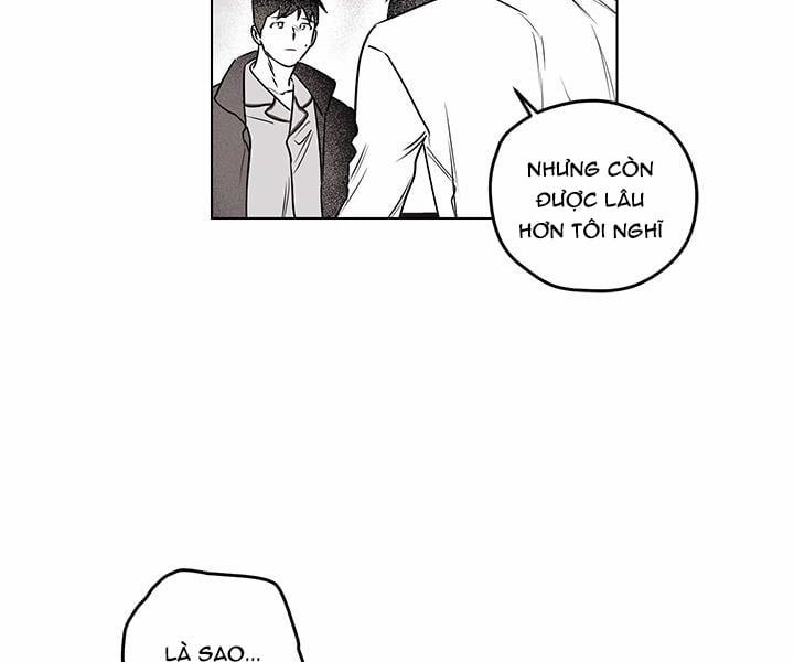 Bữa Tiệc Của Những Đóa Hoa 22 trang 146