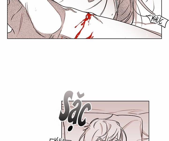 Bữa Tiệc Của Những Đóa Hoa 22 trang 54