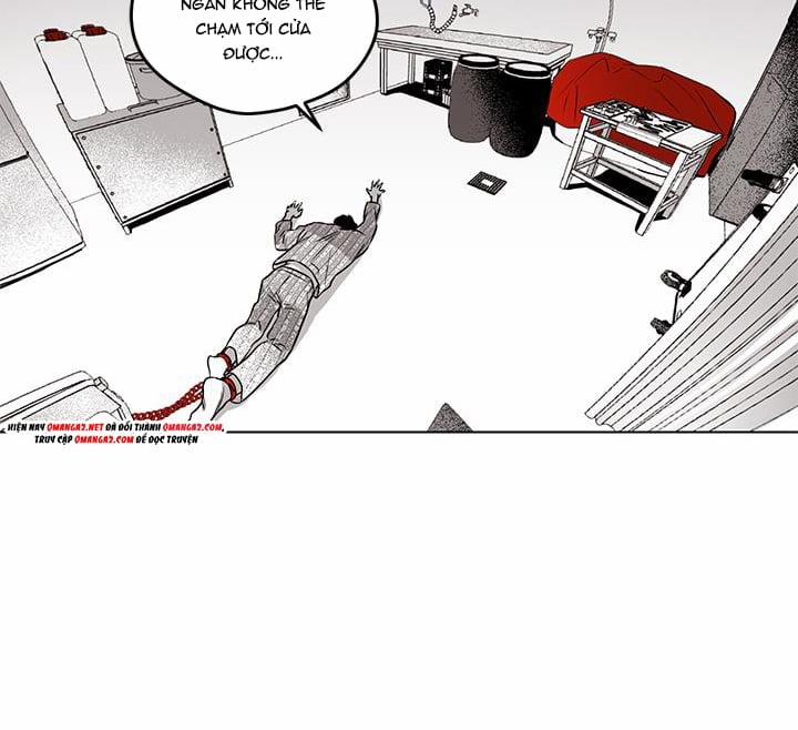 Bữa Tiệc Của Những Đóa Hoa 23 trang 11