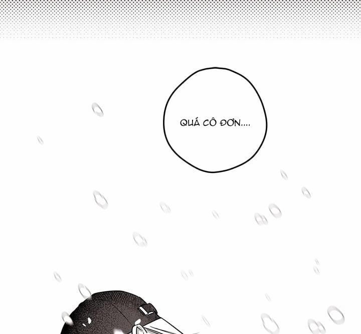 Bữa Tiệc Của Những Đóa Hoa 26 trang 102