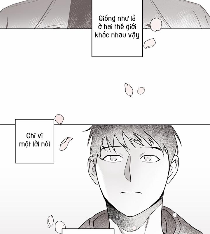 Bữa Tiệc Của Những Đóa Hoa 26 trang 13