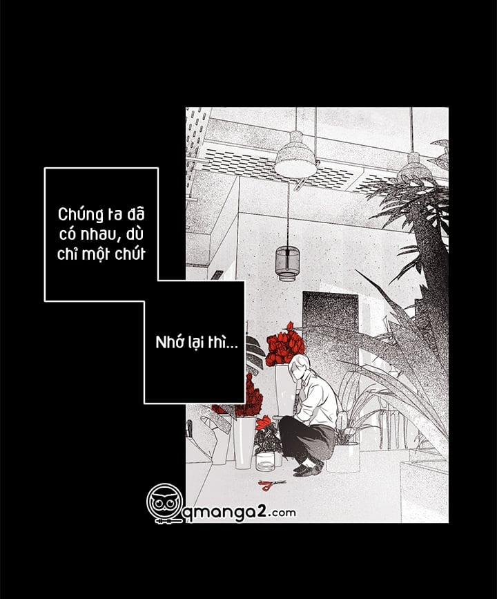 Bữa Tiệc Của Những Đóa Hoa 26 trang 62