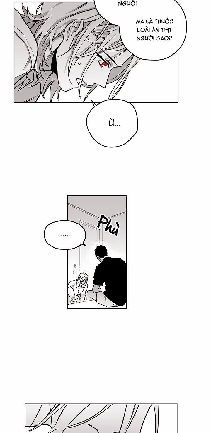 Bữa Tiệc Của Những Đóa Hoa 4 trang 39