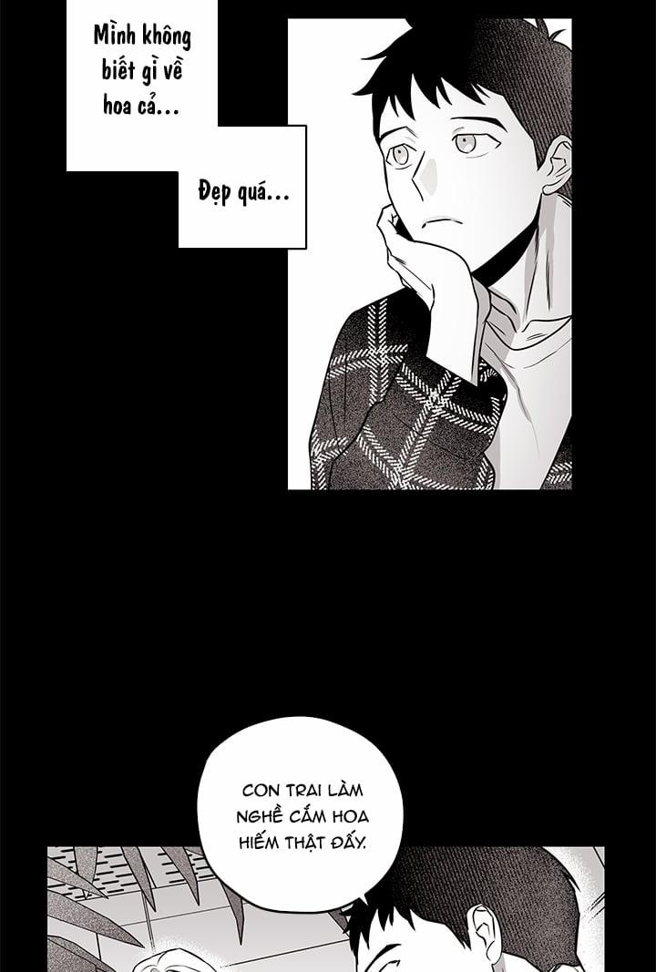 Bữa Tiệc Của Những Đóa Hoa 4 trang 8