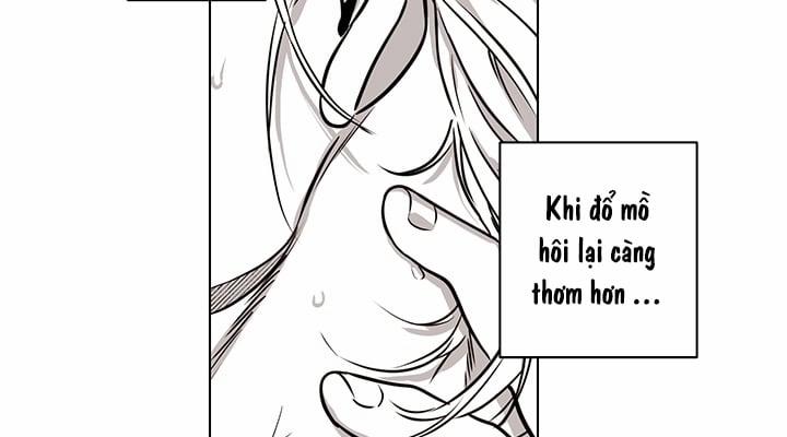 Bữa Tiệc Của Những Đóa Hoa 7 trang 18