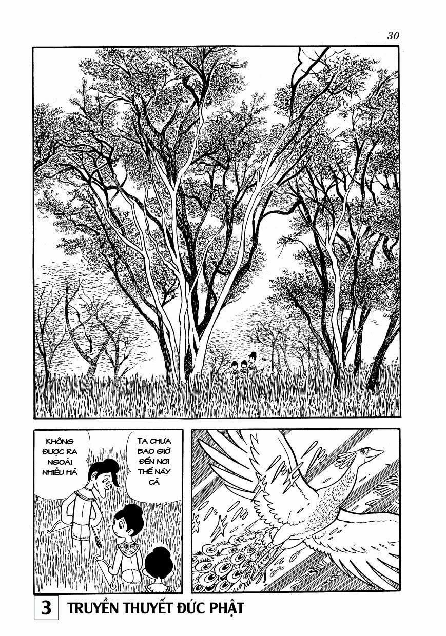 Buddha - Truyền Thuyết Đức Phật 13 trang 29