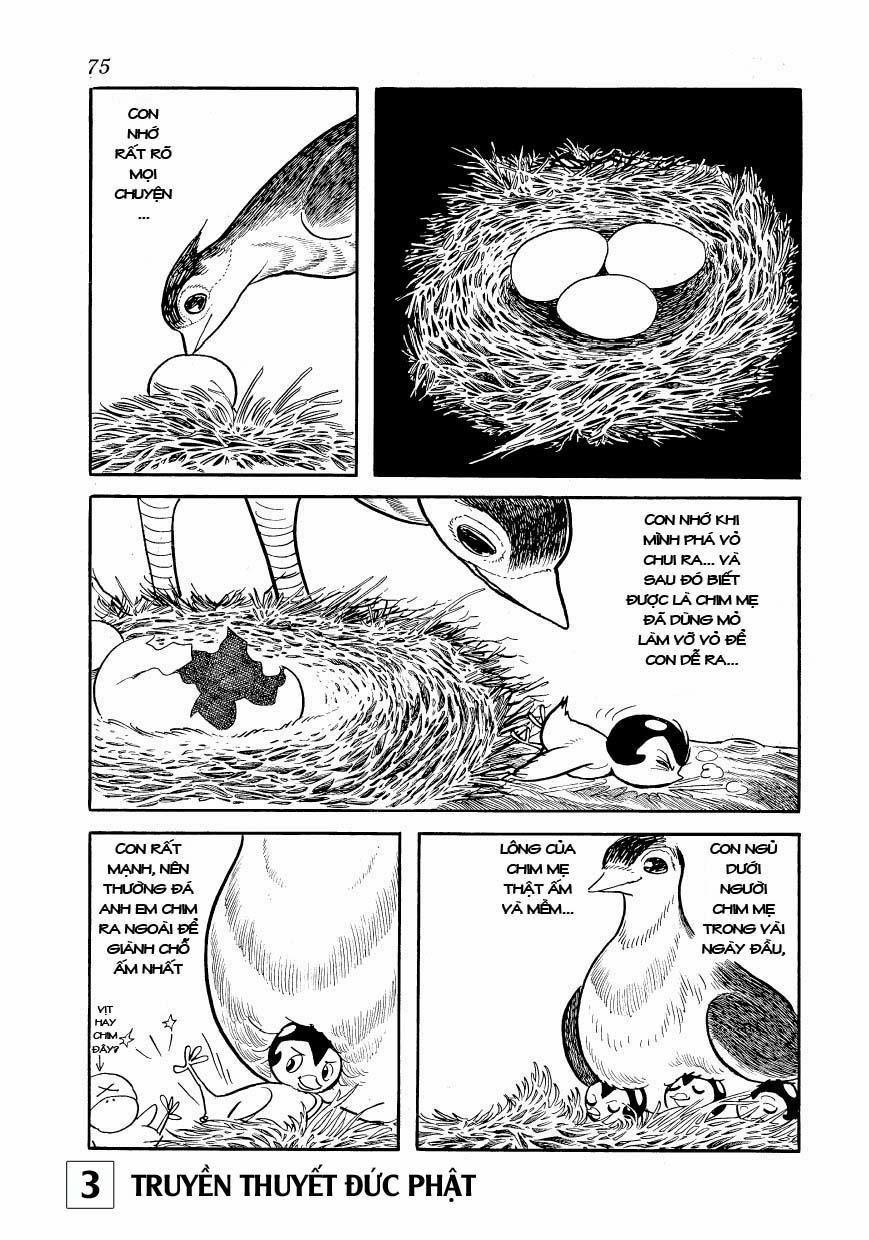 Buddha - Truyền Thuyết Đức Phật 14 trang 27