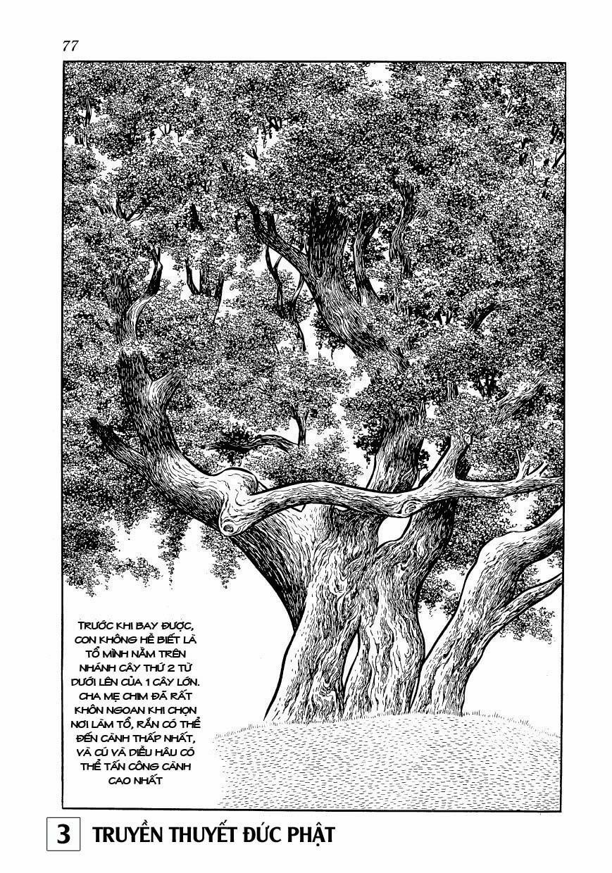 Buddha - Truyền Thuyết Đức Phật 14 trang 29