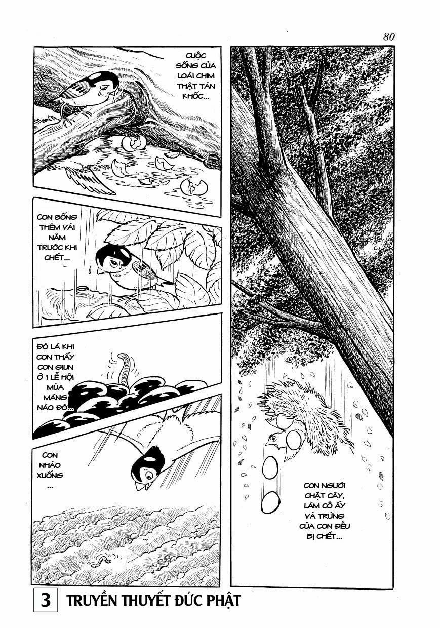 Buddha - Truyền Thuyết Đức Phật 14 trang 32