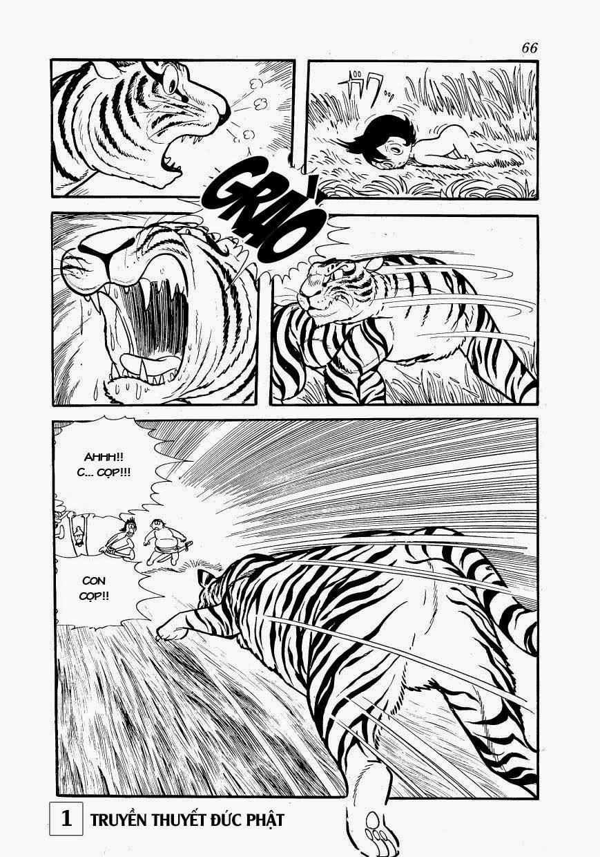 Buddha - Truyền Thuyết Đức Phật 2 trang 8