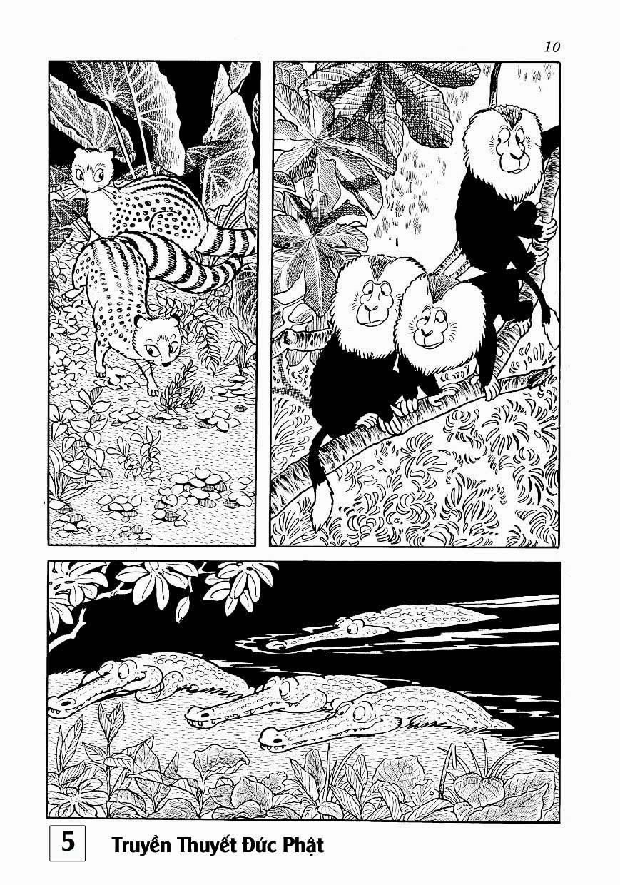 Buddha - Truyền Thuyết Đức Phật 23 trang 9