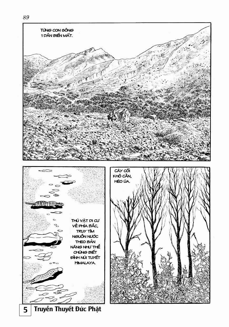 Buddha - Truyền Thuyết Đức Phật 24 trang 42