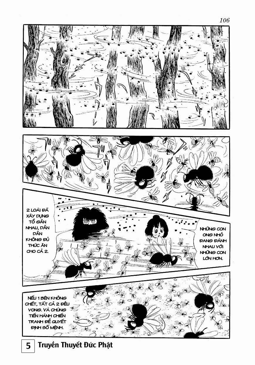 Buddha - Truyền Thuyết Đức Phật 24 trang 59