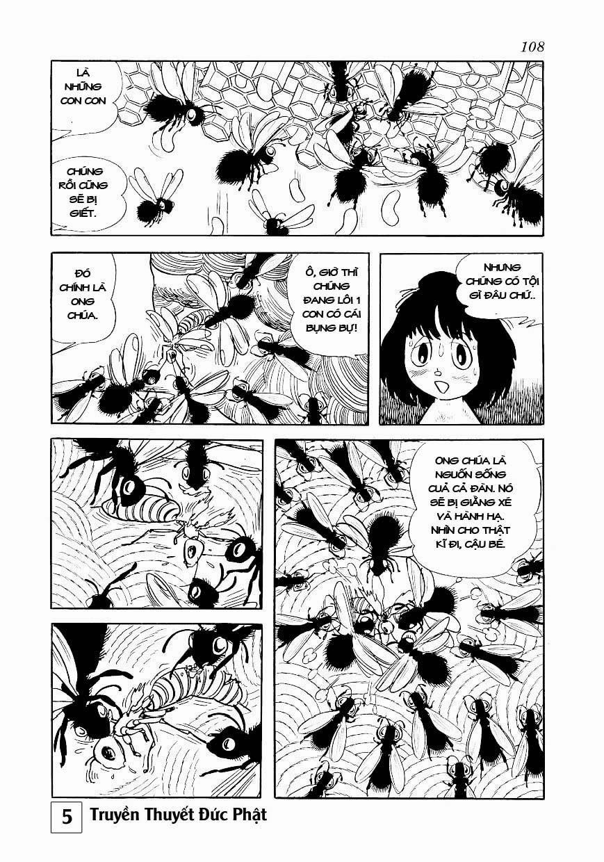 Buddha - Truyền Thuyết Đức Phật 24 trang 61