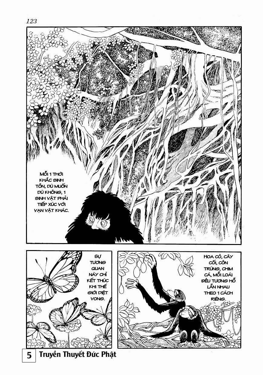 Buddha - Truyền Thuyết Đức Phật 25.1 trang 13