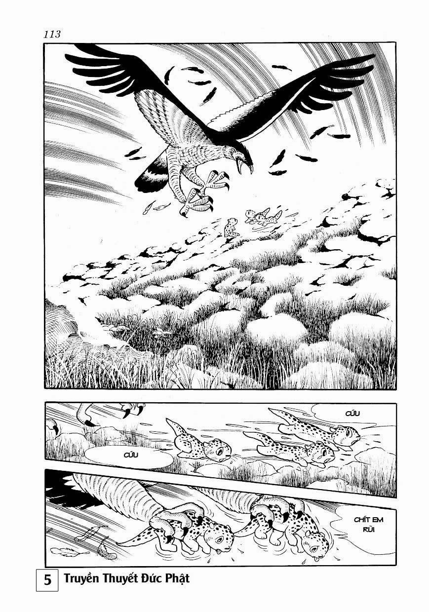 Buddha - Truyền Thuyết Đức Phật 25.1 trang 3