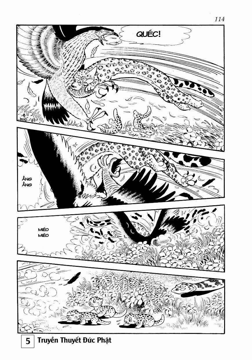 Buddha - Truyền Thuyết Đức Phật 25.1 trang 4
