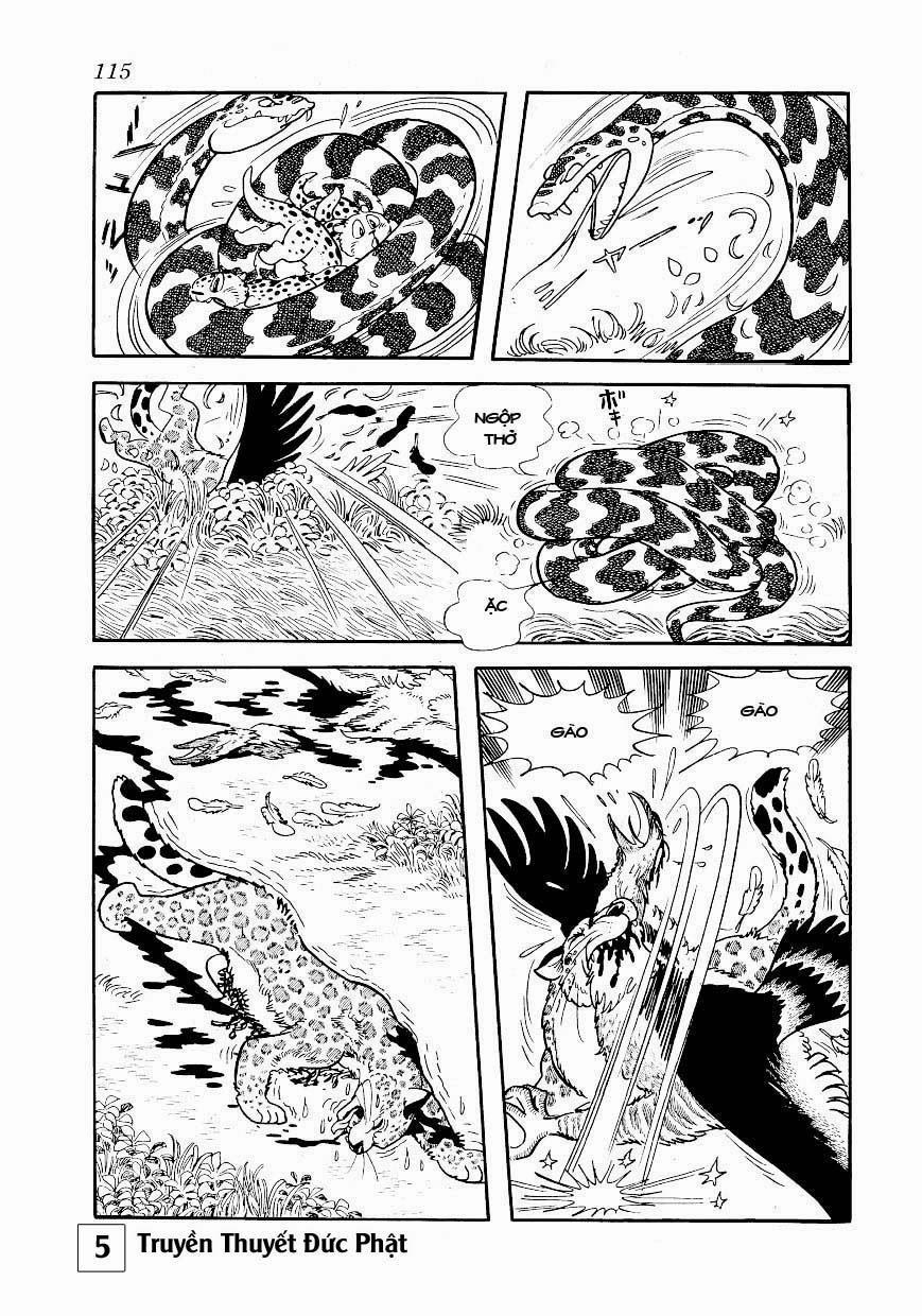 Buddha - Truyền Thuyết Đức Phật 25.1 trang 5