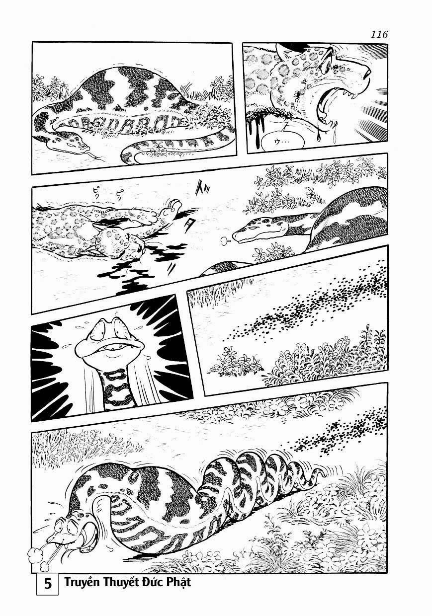 Buddha - Truyền Thuyết Đức Phật 25.1 trang 6